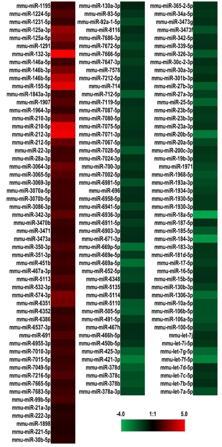 Supplemental Figures Supporting Information Figure 1 Supporting information figure 1. Microarray analysis of mirna expressions in M1NVs compared to M0NVs.
