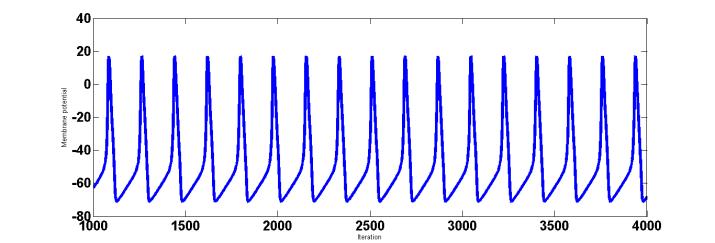 Here the firing rate was calculated as the inverse of the mean of inter spike interval [11]. IV. RESULTS 1) Simulation with constant current.