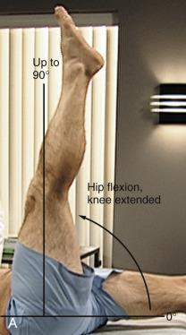 Hip Flexion Seidel s Guide to