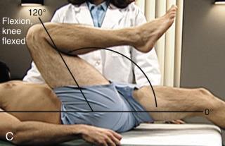 Hip Flexion w/ knee flexed Seidel s Guide