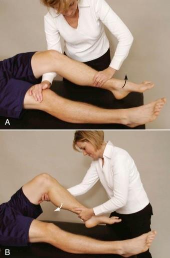 Testing Quadriceps & Hamstrings Orthopedic Physical