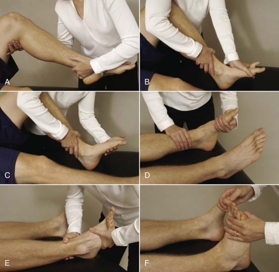 Ankle and Foot Passive ROM Orthopedic Physical