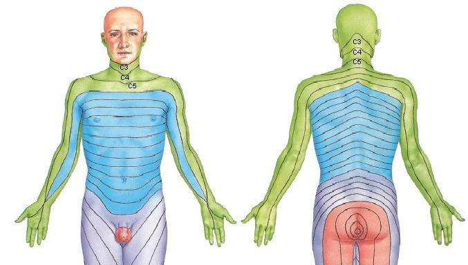 3. Where is the most common site of referred pain in this injury? A.