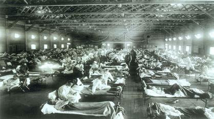 Influenza Annual epidemics