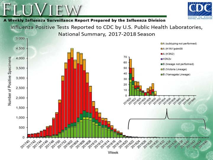 2017-18 influenza season High-severity season - Widespread activity across US for an