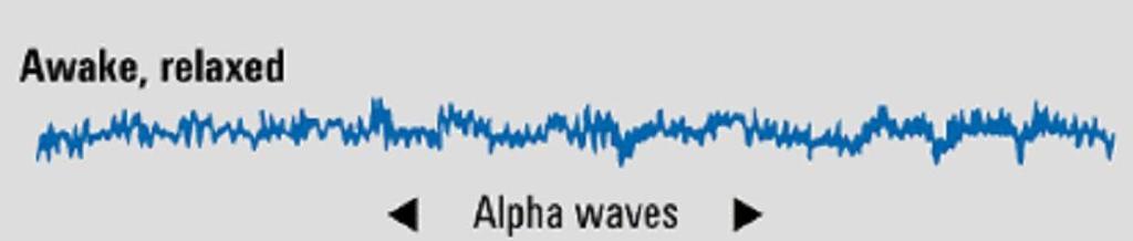 2 Beta waves: waves of someone who is wide awake. Alpha waves: the relatively slow brain waves of a relaxed, awake state.