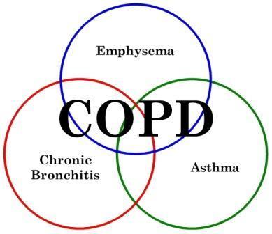 Chronic Obstructive Pulmonary Disease COPD is a series of diseases