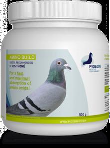 AMINO BUILD For a FAST and MAXIMAL absorption of amino acids! Essential building blocks for your pigeons!