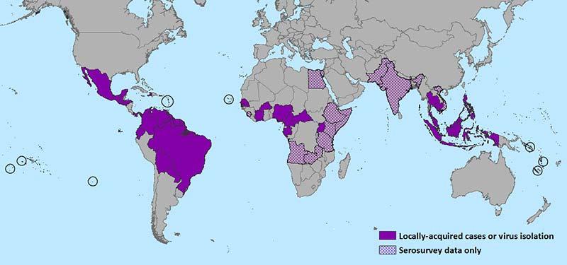 Zika Prevalence Worldwide By January 2016, it was estimated that more than a million people had been infected in Brazil, and Zika cases had been seen in most