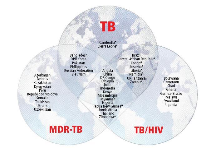 During the period 1998 to 2015, the concept of an High Burden Countries (HBC) became familiar and widely used in the context of TB. In 2015, three HBC lists for TB, TB/HIV and MDR-TB were in use.