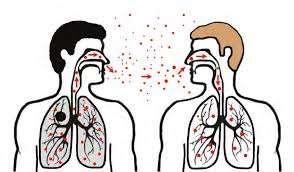 Mycobacteria are in droplets when infected persons cough, sneeze, or speak.