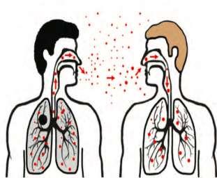 Transmission TB is considered an airborne infectious disease although M.