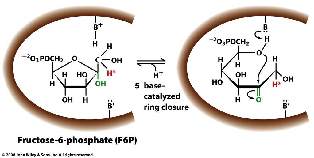 Reaction Mechanism of Phosphoglucose Isomerase