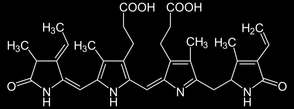 carbohydrates and O2 Chlorophyll a contains a porphyrin ring with Mg, absorbs light maximally at 680nm