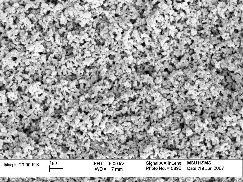 IEX 2008, 9-11 July, Cambridge, UK Scanning Electron Micrographs of the Macroporous St-DVB Polymer before and after