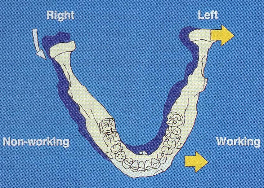 It is the simultaneous contacting of the maxillary and mandibular teeth on the right and left