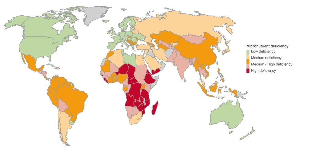 Micronutrient Deficiency World Map