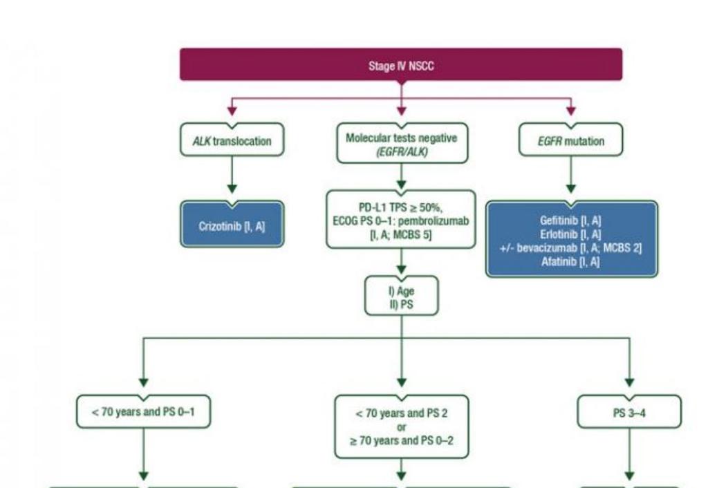 36 ESMO clinical practice guidelines in metastatic non-squamous cell