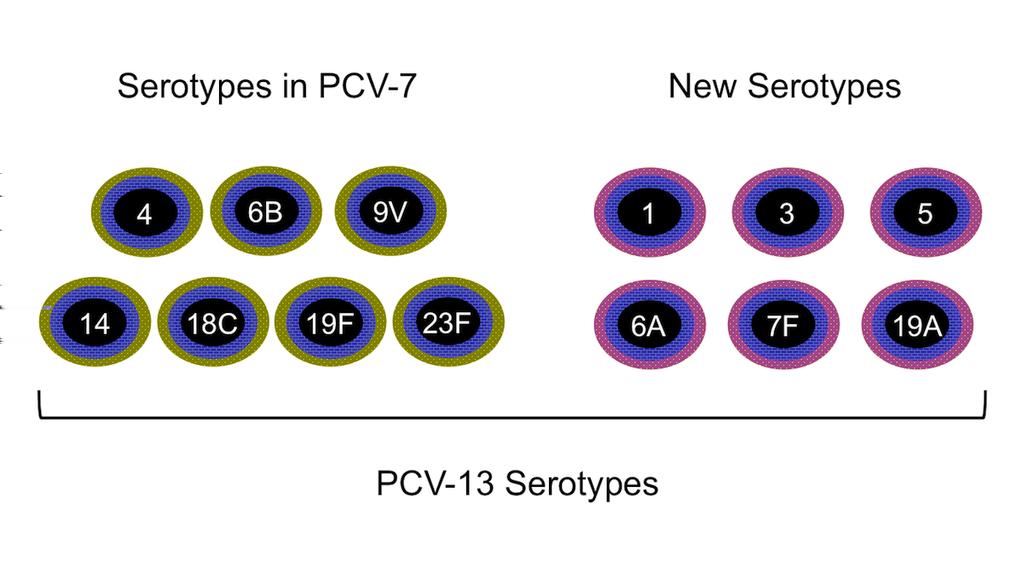Figures Figure 1 Serotypes in the Pneumococcal Conjugate Vaccine 13 (PCV13) Source: Plosker GL.