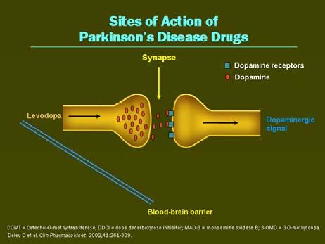 Sites of Action of Parkinson s Disease Drugs selegiline/rasagiline MAO-B (breaks down dopamine) DDCI Levodopa COMT inhibitor Dopamine agonists Dopamine 3-OMD Therapy for Advanced Parkinson s Disease