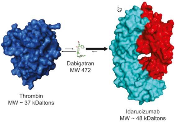 Idarucizumab Humanized mouse monoclonal Ab True reversal agent Binds dabigatran with high affinity (350x high than