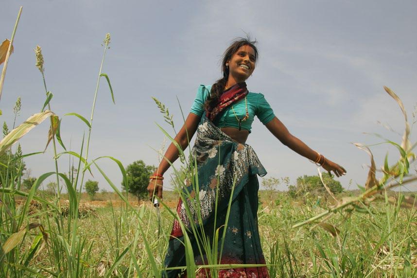 Women s Empowerment in Agriculture Index (WEAI) Launched in 2012, developed by IFPRI, Oxford Poverty and Human Development