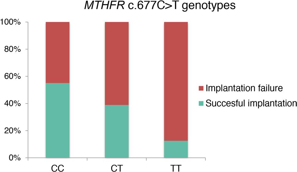MTHFR genotype in embryos Significant differences in c.