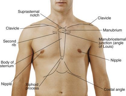 Anatomic Landmarks (From Seidel's Guide to
