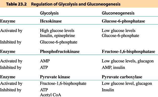 Regulation of Glycolysis and
