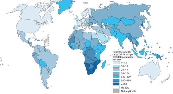 The Global Burden of TB -2012 Estimated number of cases Estimated number