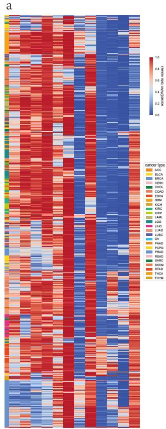 Tumor-Specific Classifier with 12 Probes Effectively Distinguishes Different Cancers Unsupervised hierarchical clustering and heatmap showing the methylation