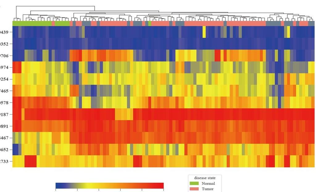 These 12 Probes can Effectively Distinguish Metastatic Tumors From Normal Tissues Unsupervised clustering of the DNA methylation levels of the 12 CpGs between normal