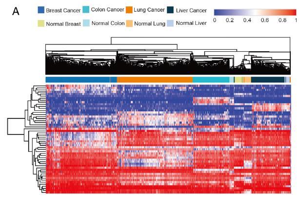 Methylation Markers can be Used for Diagnosis and Prognosis of Common Cancers Fig. Methylation signatures can differentiate different cancer types from corresponding normal tissues.