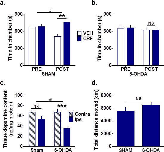 RESEARCH SUPPLEMENTARY INFORMATION Supplementary Fig 8. Intra-accumbens dopamine depletion with 6-OHDA blocks conditioned place preference for Intra-accumbens CRF microinfusion.