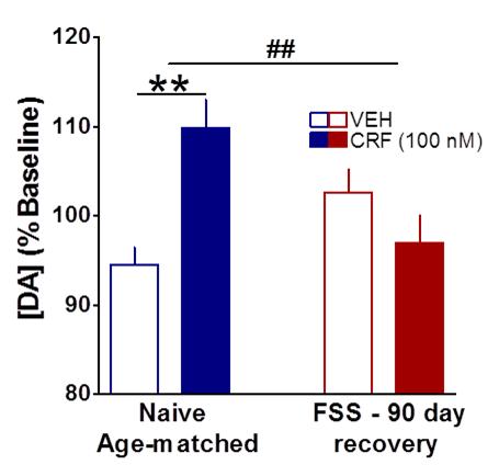 RESEARCH SUPPLEMENTARY INFORMATION Supplementary Fig 12. Loss of CRF response following stress exposure is not age related. For all other experiments, animals were 60-150 days old.