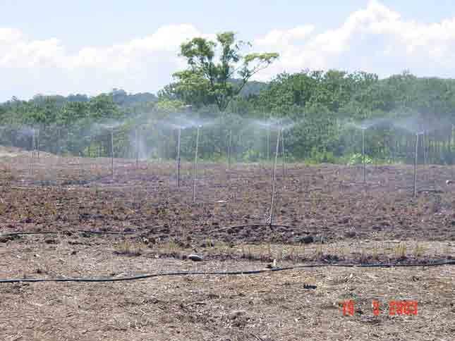 Irrigated with leachate