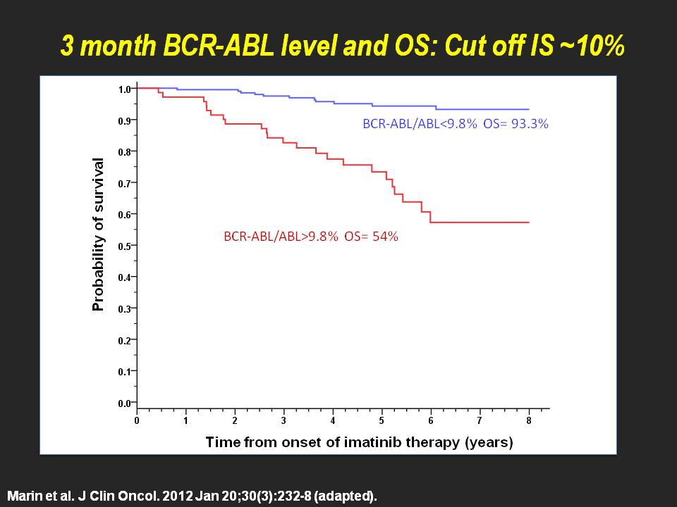 The BCR-ABL transcripts level at 3 mo.