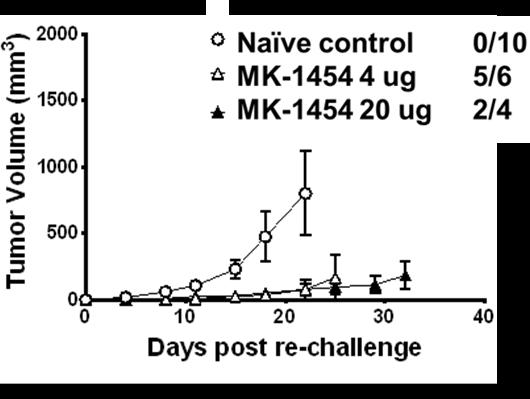 MK-1454 Treatment Induces Long-Lasting Anti-tumor Immune Memory