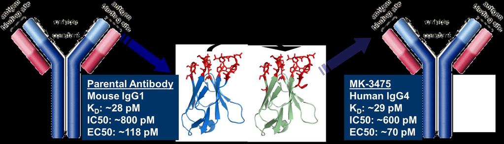 Pembrolizumab is a Humanized IgG4, High-Affinity Anti-PD-1 Blocking