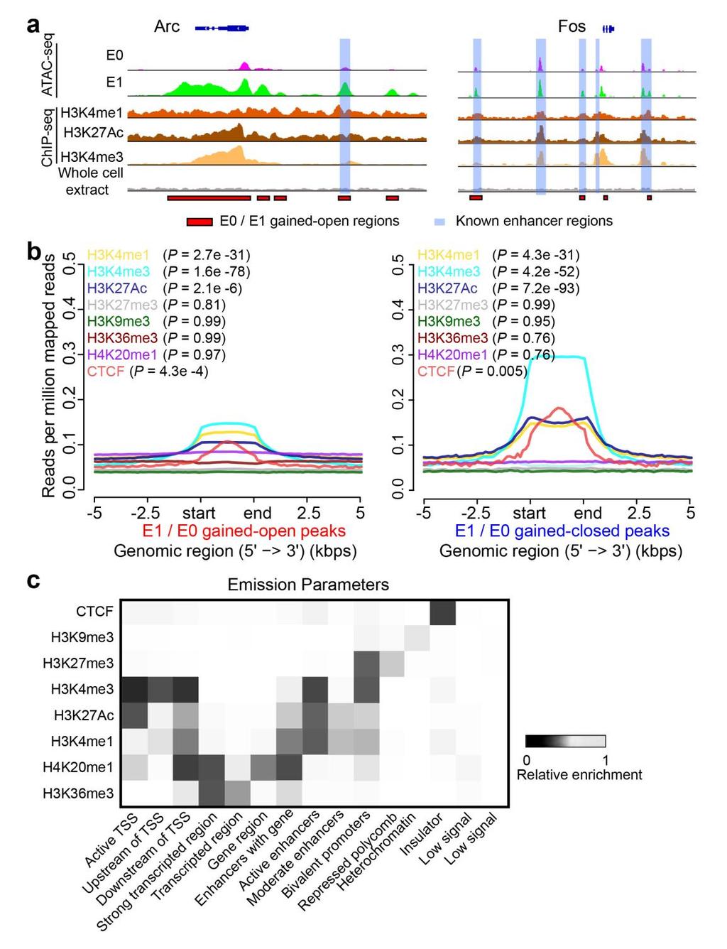 Supplementary Figure 3 Characterization of the chromatin state of regions with neuronal activity-induced chromatin-accessibility changes at E1 compared to E0.