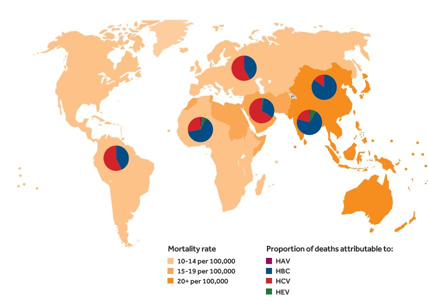 A death toll we could no longer neglect Viral hepatitis mortality rates, by