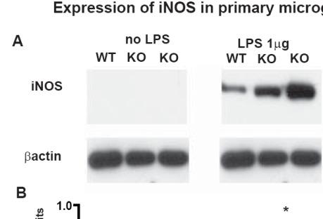 Nlrp12 inhibitor of inos and cytokines expression Significant increase