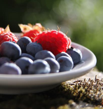 Optimizing Nutrition Eat fresh fruits and