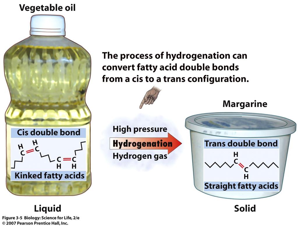 to fatty acids: unsaturated saturated trans double bonded fatty acids produced as a byproduct