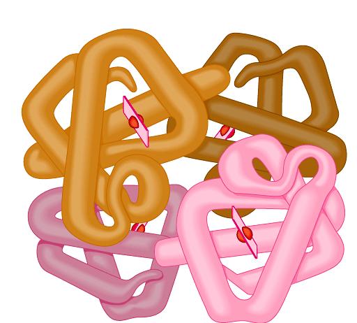 protein can be one or more polypeptide