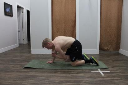 . EXERCISE 6 QUADRUPED POINTER -Belly button into the spine -No low back twisting or arching