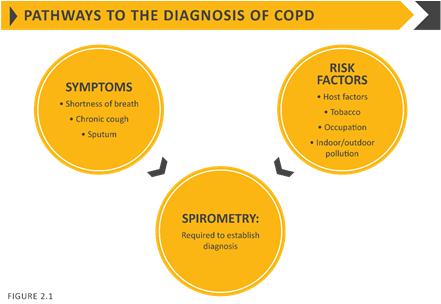 Medical History Patient s exposure to risk factors Past medical history Family history of COPD or other chronic respiratory disease.