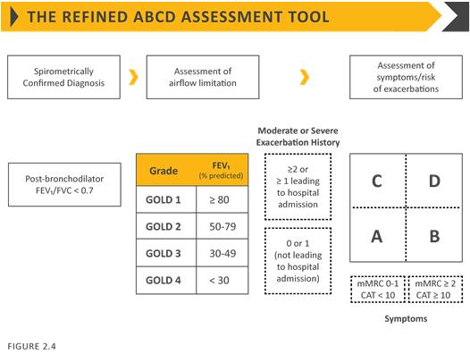 ABCD assessment tool Modified MRC dyspnea scale Alpha-1 antitrypsin deficiency (AATD) AATD screening The World Health Organization