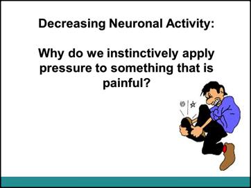 5. Wrap Up Add the Pressure Neuron Slide 11 Slide 11 Ask the students What is the first thing you do after you stub your toe? Or hurt a part of your body?