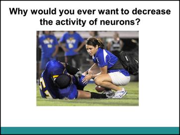 Use this slide to review the second part of the previous night s homework assignment, and demonstrate the molecular mechanism underlying inhibitory synapses.